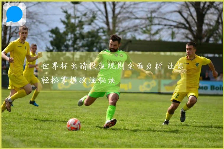 世界杯竞猜投注规则全面分析 让你轻松掌握投注秘诀