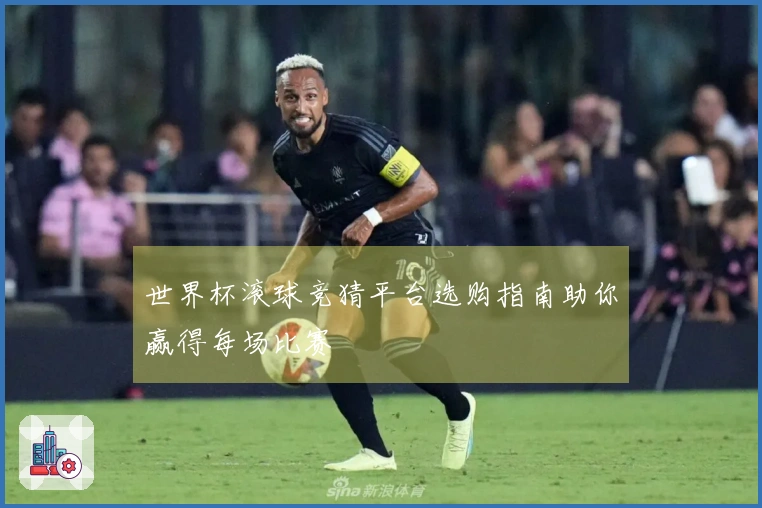 世界杯滚球竞猜平台选购指南助你赢得每场比赛