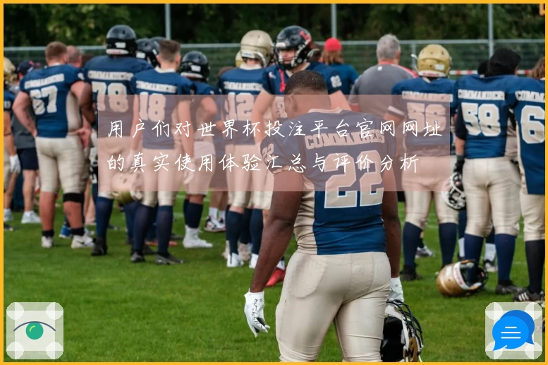 用户们对世界杯投注平台官网网址的真实使用体验汇总与评价分析