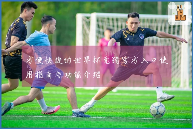 方便快捷的世界杯竞猜官方入口使用指南与功能介绍