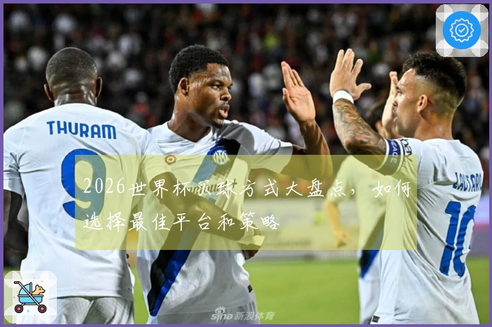 2026世界杯买球方式大盘点，如何选择最佳平台和策略