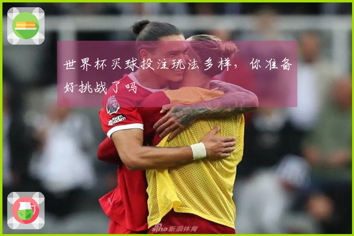 世界杯买球投注玩法多样，你准备好挑战了吗