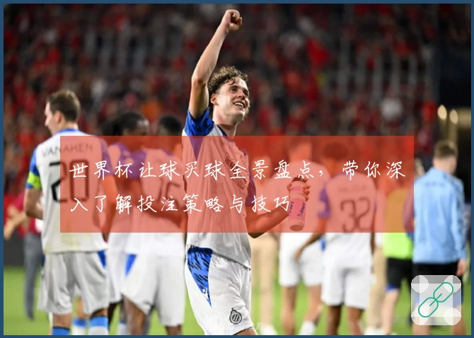 世界杯让球买球全景盘点，带你深入了解投注策略与技巧