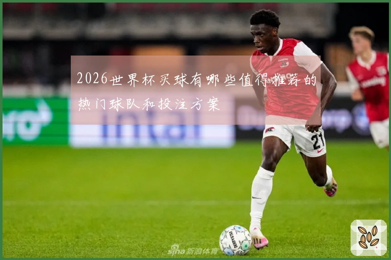 2026世界杯买球有哪些值得推荐的热门球队和投注方案