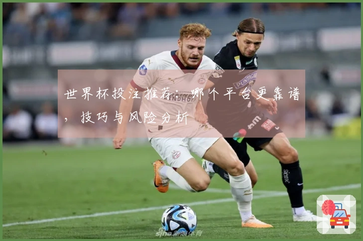 世界杯投注推荐：哪个平台更靠谱，技巧与风险分析