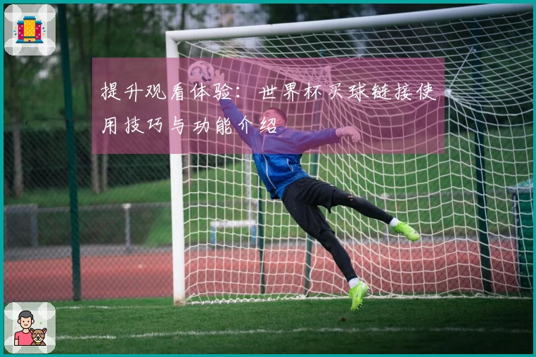 提升观看体验：世界杯买球链接使用技巧与功能介绍