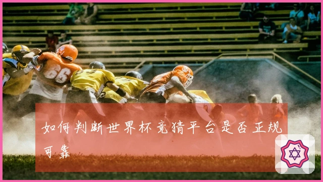 如何判断世界杯竞猜平台是否正规可靠