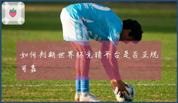 如何判断世界杯竞猜平台是否正规可靠